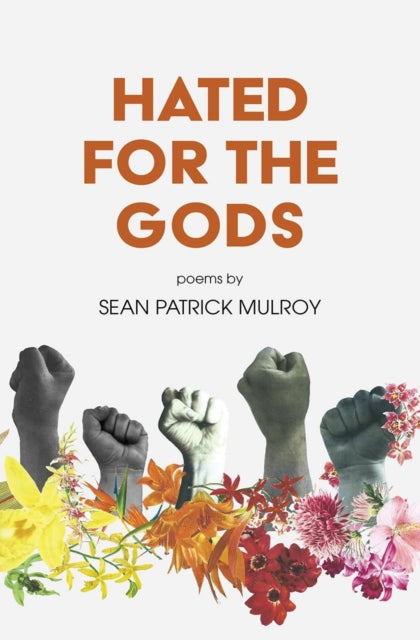 Book cover of: Hated for the Gods. By: Sean Patrick Mulroy