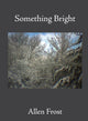 Book cover of: Something Bright. By: Allen Frost
