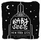 Book cover of: Baby Sees New York City
