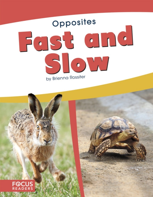 Book cover of: Fast and Slow. By: Brienna Rossiter
