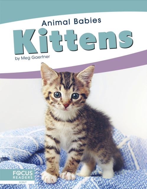 Book cover of: Kittens. By: Meg Gaertner