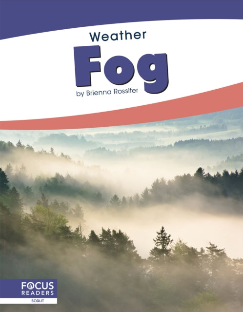 Book cover of: Fog. By: Brienna Rossiter