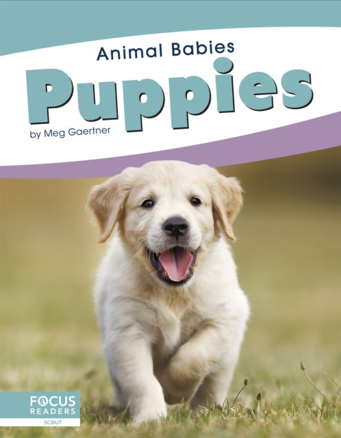 Book cover of: Puppies. By: Meg Gaertner