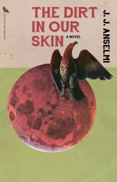 Book cover of: Dirt in Our Skin. By: J. J. Anselmi