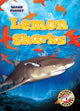 Book cover of: Lemon Sharks. By: Rebecca Pettiford