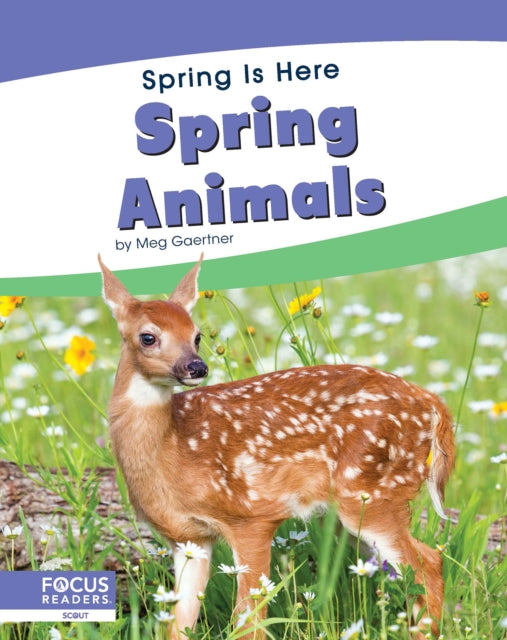 Book cover of: Spring Animals. By: Meg Gaertner
