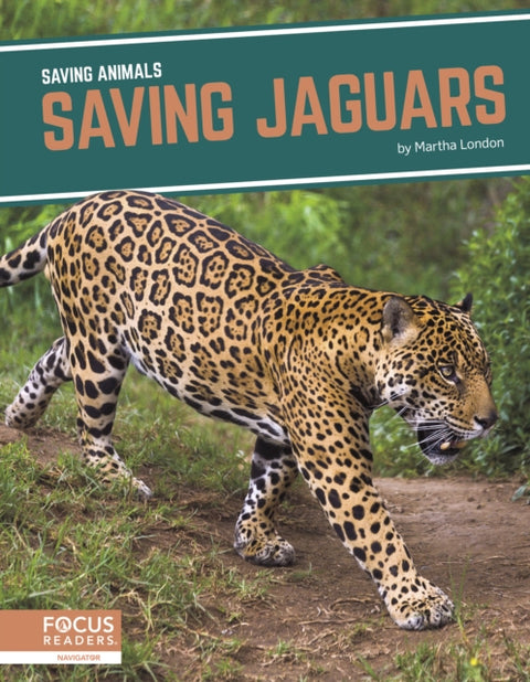 Saving Jaguars