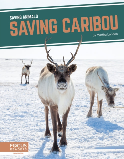 Book cover of: Saving Caribou. By: Martha London