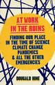 Book cover of: At Work in the Ruins. By: Dougald Hine