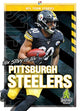 Book cover of: Story of the Pittsburgh Steeler. By: Diane Bailey