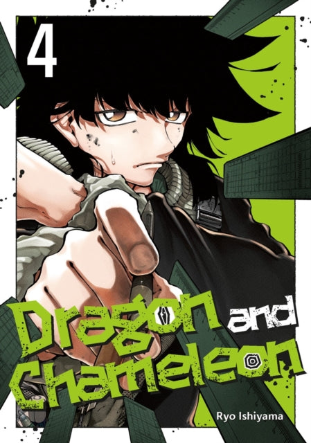 Book cover of: Dragon and Chameleon 04