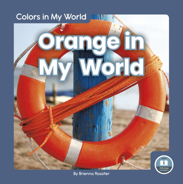 Book cover of: Orange in My World. By: Brienna Rossiter