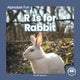 Book cover of: R Is for Rabbit. By: Nick Rebman
