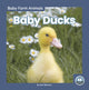 Book cover of: Baby Ducks. By: Nick Rebman
