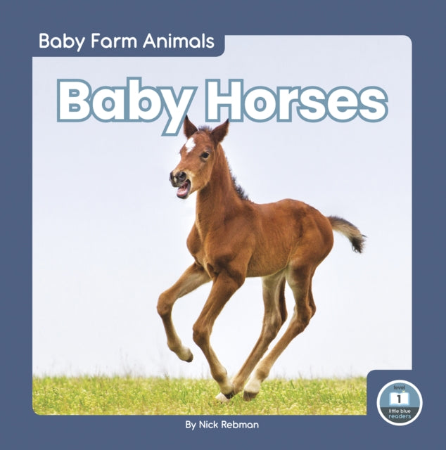 Book cover of: Baby Horses. By: Nick Rebman