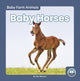 Book cover of: Baby Horses. By: Nick Rebman