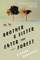 Book cover of: Brother & Sister Enter the Forest. By: Richard Mirabella