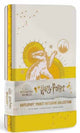 Book cover of: Harry Potter: Hufflepuff Constellation Sewn Pocket Notebook Collection