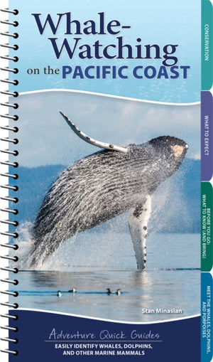 Whale Watching on the Pacific Coast