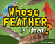Book cover of: Whose Feather Is That?