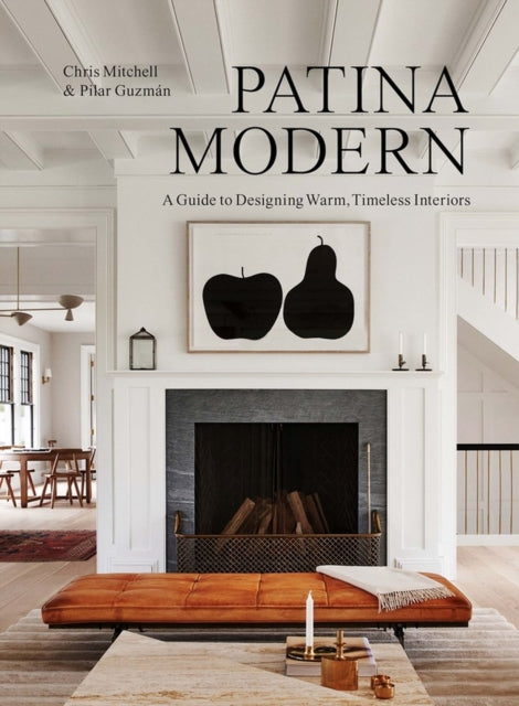 Book cover of: Patina Modern. By: Chris Mitchell