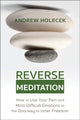 Book cover of: Reverse Meditation. By: Andrew Holecek