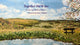 Book cover of: Together We'll See. By: John Pelham