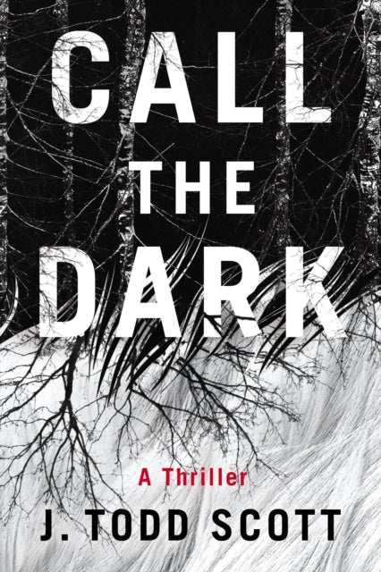 Book cover of: Call the Dark. By: J. Todd Scott