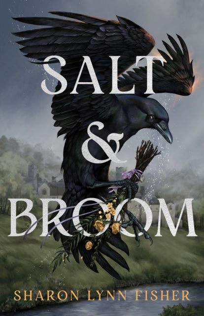 Book cover of: Salt & Broom. By: Sharon Lynn Fisher