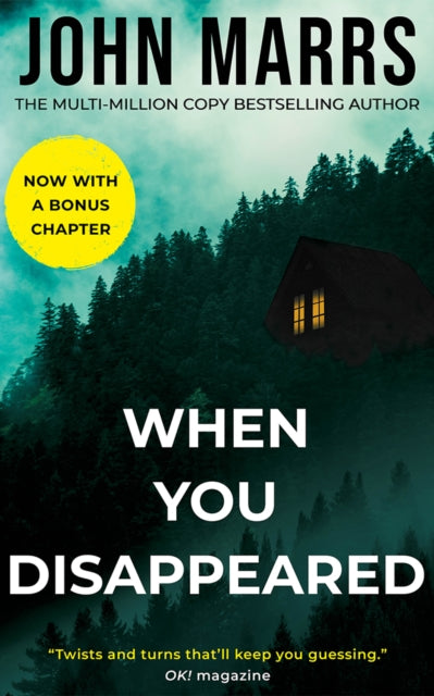 Book cover of: When You Disappeared