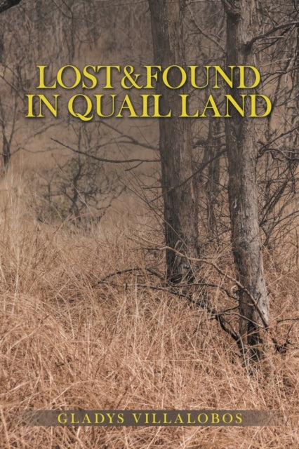 Book cover of: Lost&Found in Quail Land