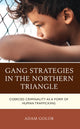 Book cover of: Gang Strategies in the Northern Triangle. By: T. Adam Golob