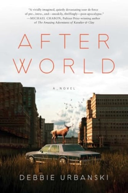 Book cover of: After World. By: Debbie Urbanski