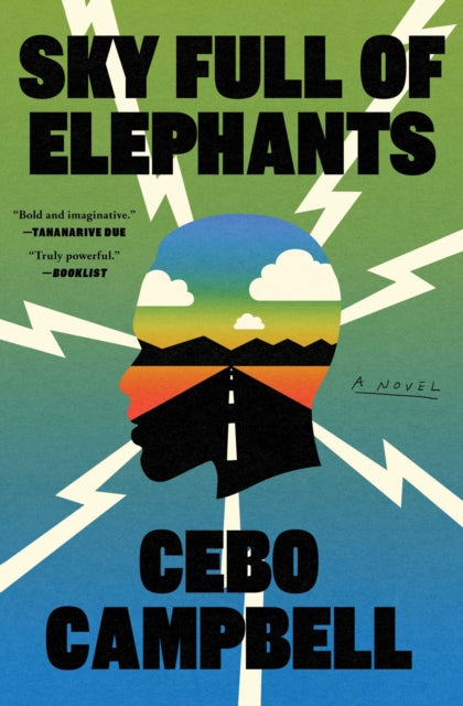 Book cover of: Sky Full of Elephants