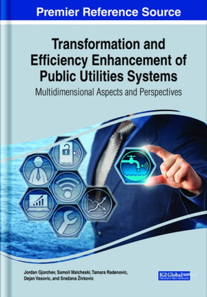 Transformation and Efficiency Enhancement of Public Utilities Systems