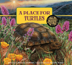 Place for Turtles