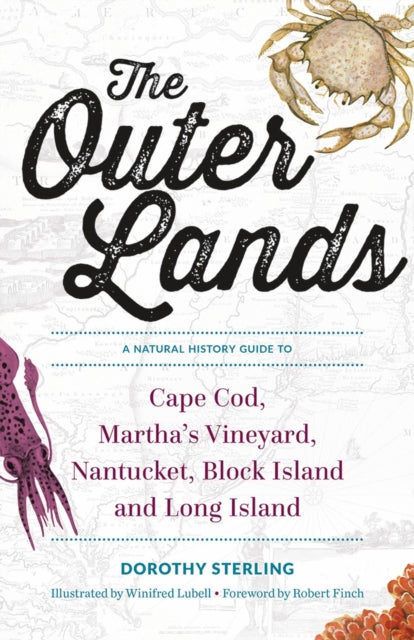 Book cover of: Outer Lands. By: Dorothy Sterling