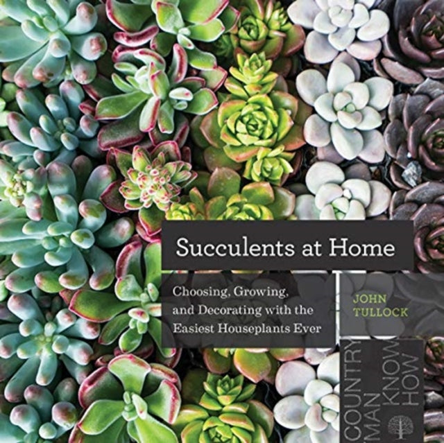 Book cover of: Succulents at Home. By: John Tullock