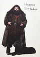 Book cover of: Harry Potter: Hagrid's Cake Pop-Up Card