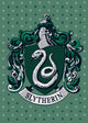 Book cover of: Harry Potter: Slytherin Embellished Card