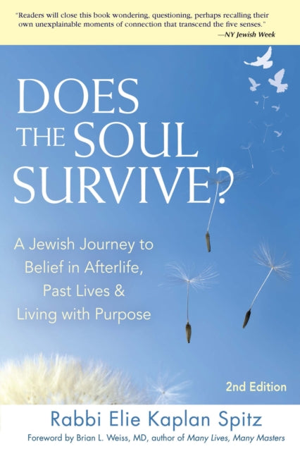 Book cover of: Does the Soul Survive? (2nd Edition). By: Elie Kaplan Spitz