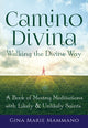 Book cover of: Camino Divina—Walking the Divine Way. By: Gina Marie Mammano