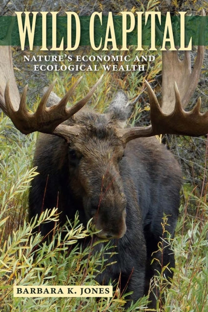 Book cover of: Wild Capital. By: Barbara K. Jones