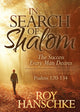 Book cover of: In Search of Shalom. By: Roy Hanschke