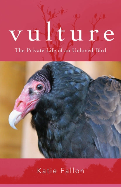 Book cover of: Vulture – The Private Life of an Unloved Bird. By: Katie Fallon
