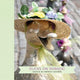 Book cover of: Ducks on Parade!. By: Nancy Schon