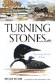 Book cover of: Turning Stones. By: Declan McCabe