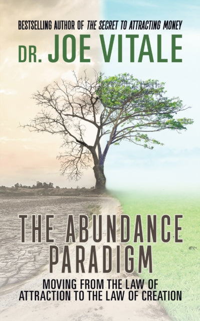 Book cover of: Abundance Paradigm. By: Joe Vitale