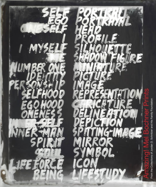 Book cover of: Amazing! Mel Bochner Prints. By: Mel Bochner