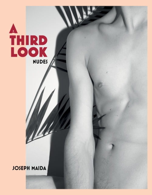 Book cover of: Third Look. By: Joseph Maida